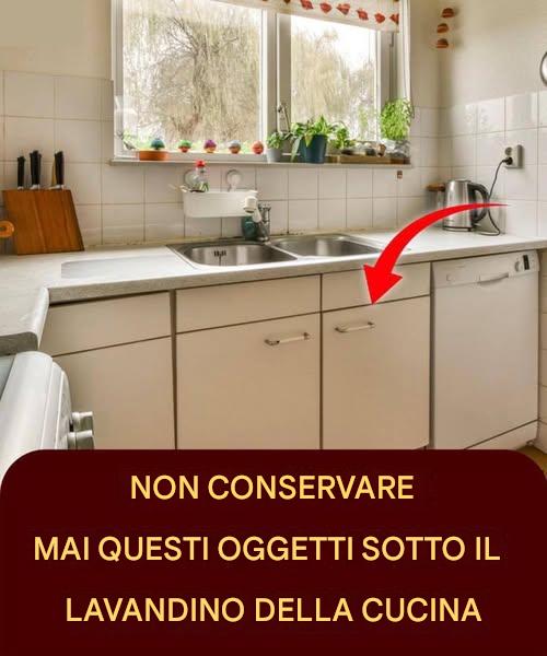 5 Oggetti che Non Dovresti Mai Mettere Sotto il Lavandino della Tua Cucina