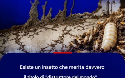 Il Silenzioso Distruttore: L’Insetto che Minaccia il Nostro Mondo