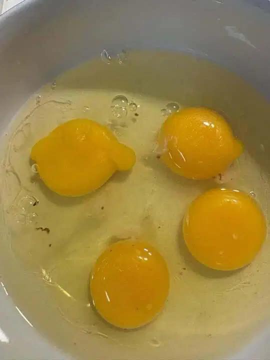 Dovremmo mangiare uova con macchie BL00D?