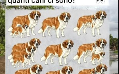 Riesci a individuare tutti i 16 cani? Solo gli occhi più attenti possono