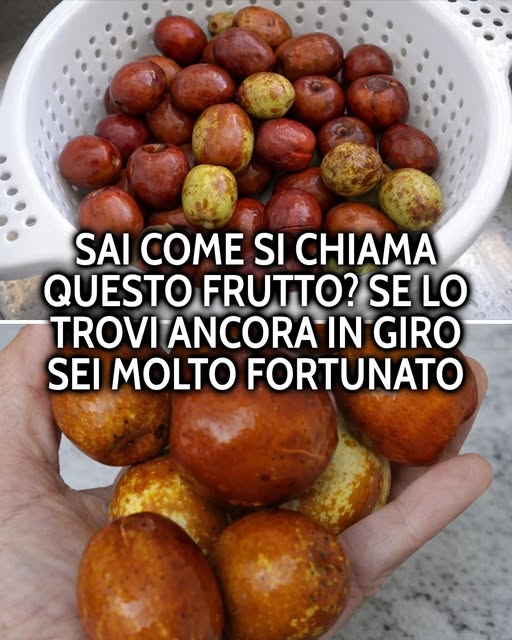 Sai come si chiama questo frutto? Lo trovi ancora in giro? Se si, sei davvero fortunato. Ti spiego che frutto è, e quali sono i suoi straordinari benefici qui