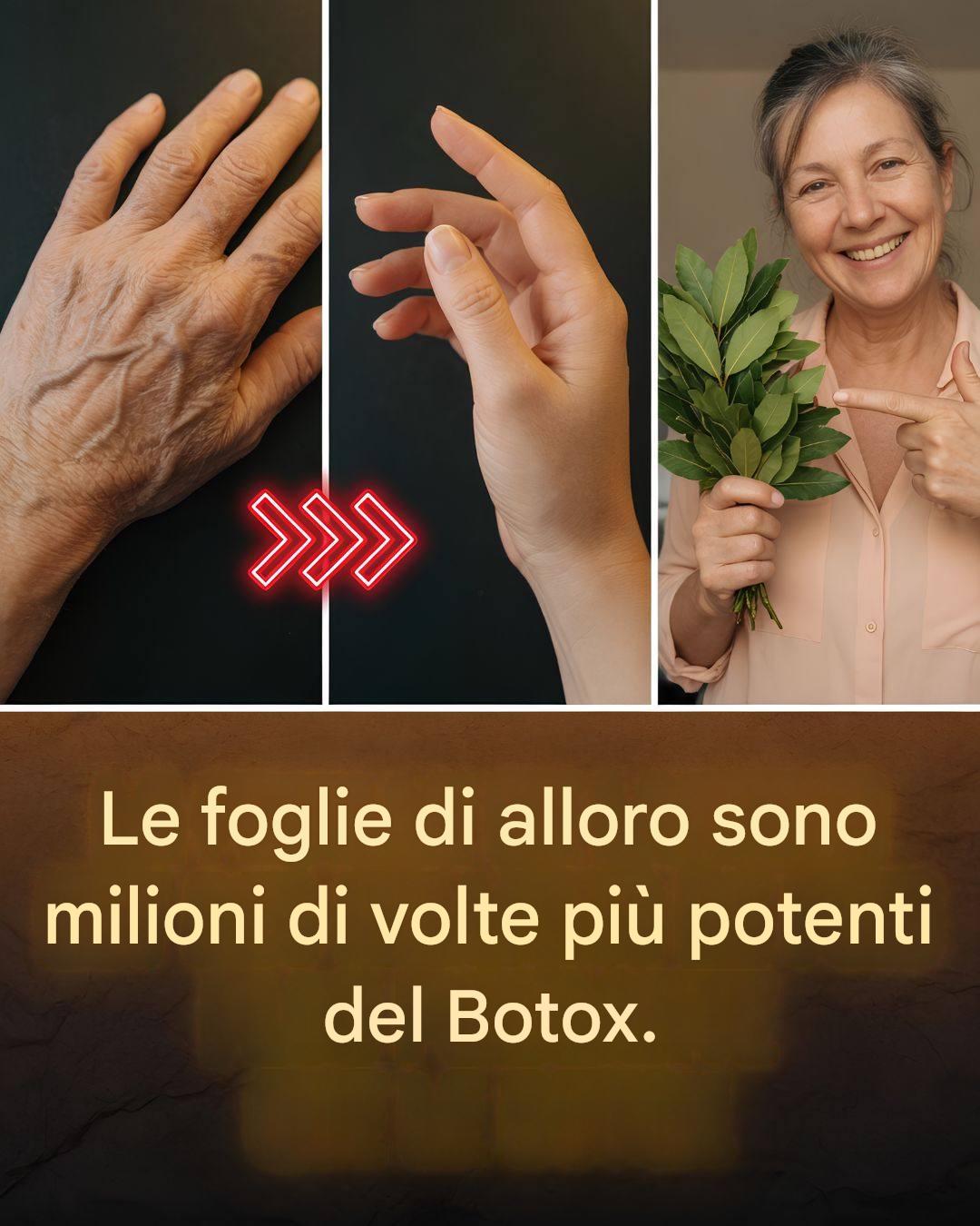 Foglia di alloro: il segreto della natura per una pelle giovane e senza rughe! ✨