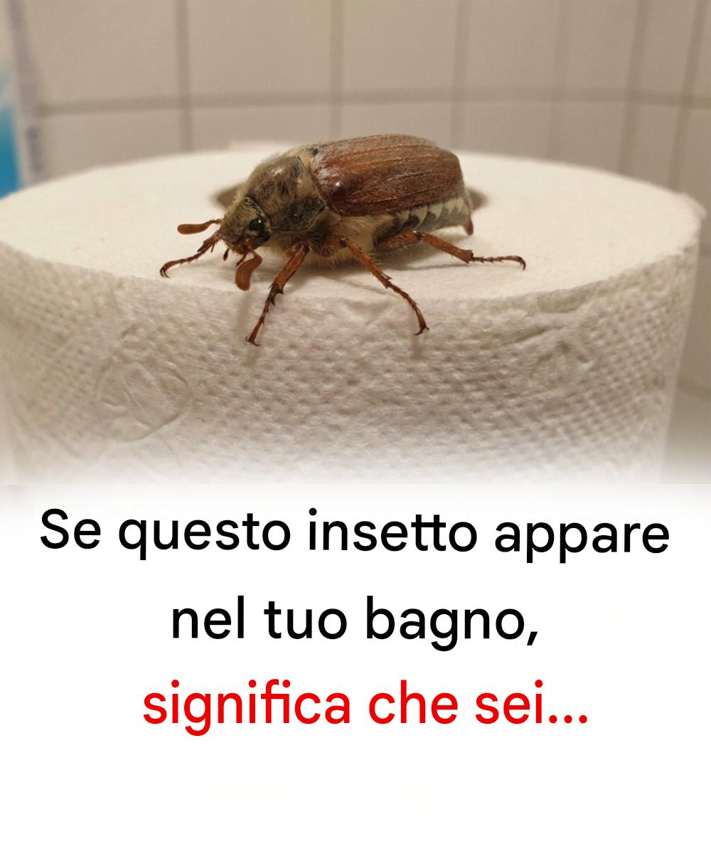 Se questo insetto appare nel tuo bagno, significa che sei…
