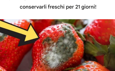 Come mantenere le bacche fresche più a lungo – fino a 21 giorni!