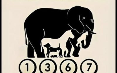 Quanti animali vedi? Un test visivo rivela il tuo modo di pensare!