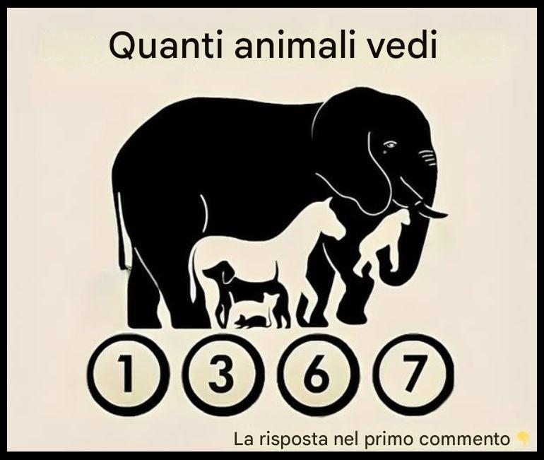 Quanti animali vedi? Un test visivo rivela il tuo modo di pensare!