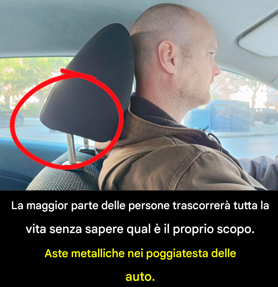 Perché i poggiatesta delle auto hanno delle barre metalliche? Spiegazione
