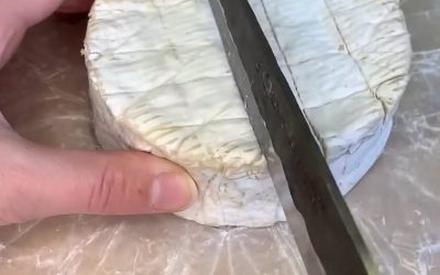 Se mangi formaggio, non dovresti più prendere formaggio. Vedi di più