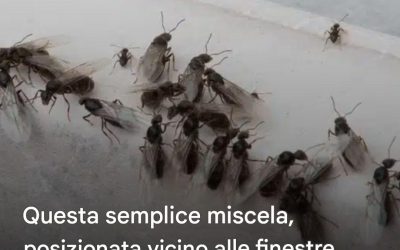 Molti si pentono di non averlo conosciuto prima… Vedi di più