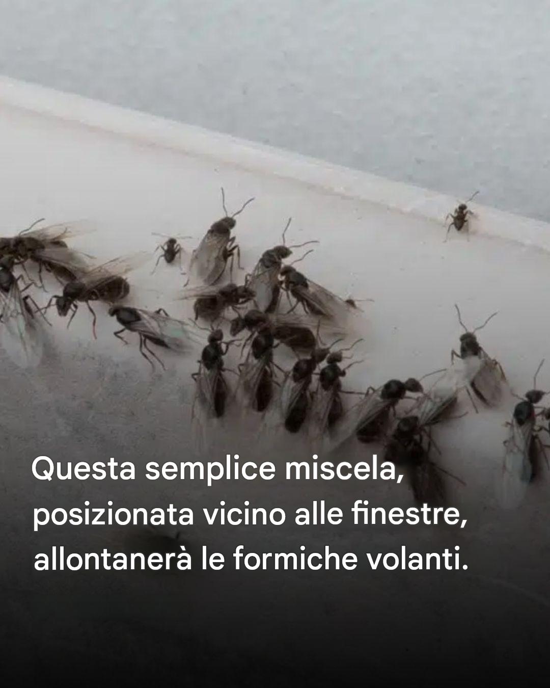 Molti si pentono di non averlo conosciuto prima… Vedi di più