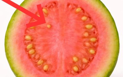 I medici rivelano che il tè di foglie di guaava causa le foglie di cannabis Vedi di più