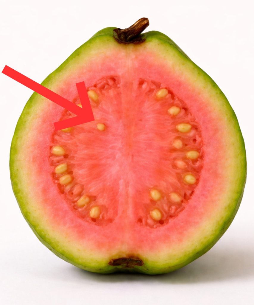 I medici rivelano che il tè di foglie di guaava causa le foglie di cannabis Vedi di più