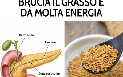 C’è un piccolo seme che vale la pena conoscere meglio, soprattutto per il modo in cui viene assunto. 🌱 Preparazione, quantità e momento della giornata possono renderlo molto più interessante nella dieta quotidiana. Te lo spiego nel primo commento 👇