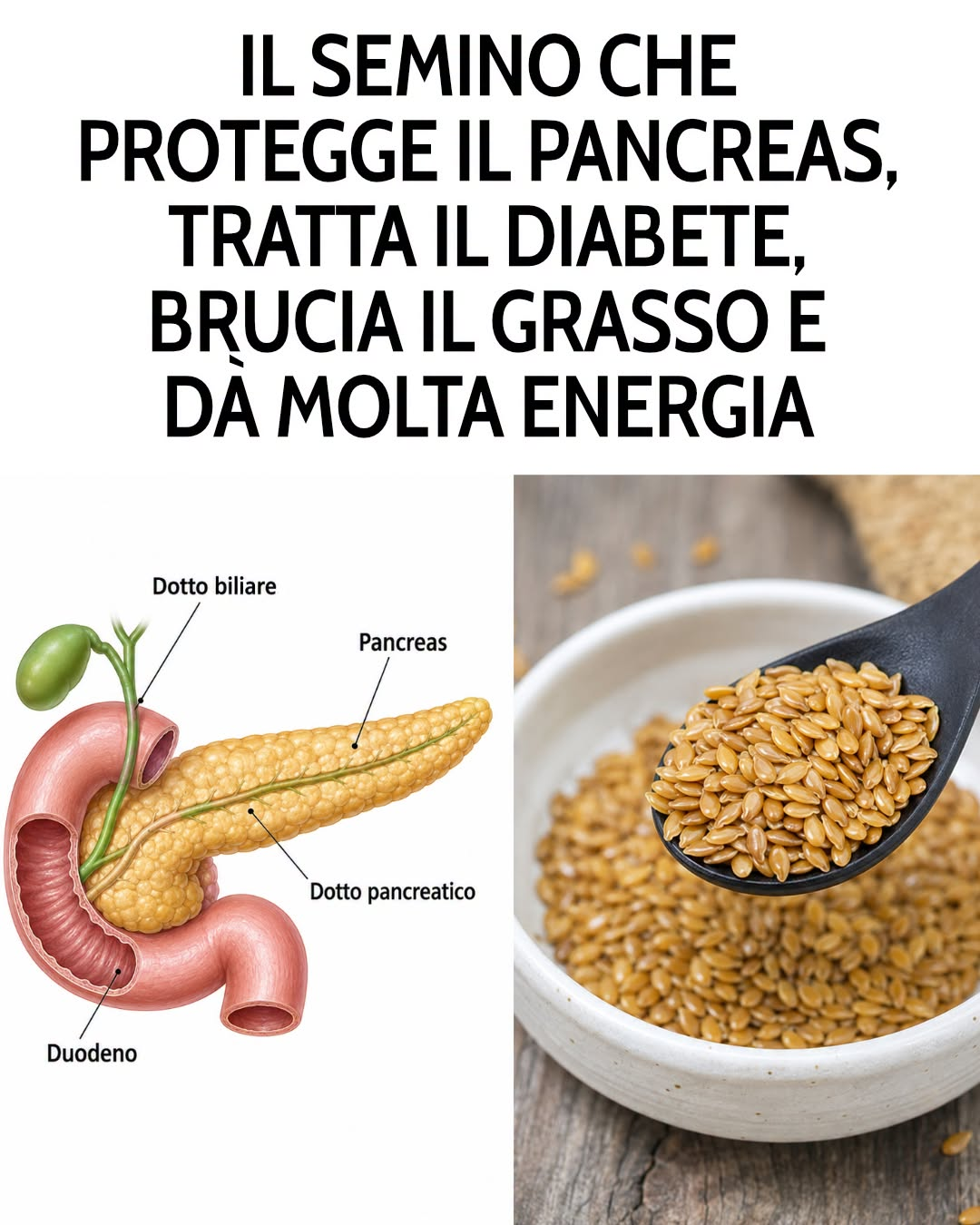 C’è un piccolo seme che vale la pena conoscere meglio, soprattutto per il modo in cui viene assunto. 🌱 Preparazione, quantità e momento della giornata possono renderlo molto più interessante nella dieta quotidiana. Te lo spiego nel primo commento 👇