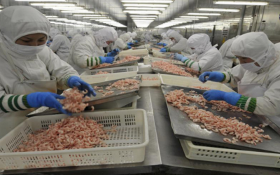 8 cibi fatti in Cina che non dovresti più mangiare