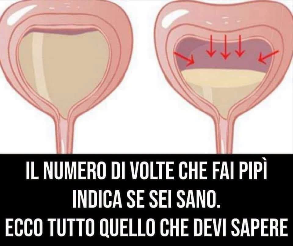 Il numero di volte che fai pipì indica se sei sano. Ecco tutto quello che devi sapere (1 / 2)