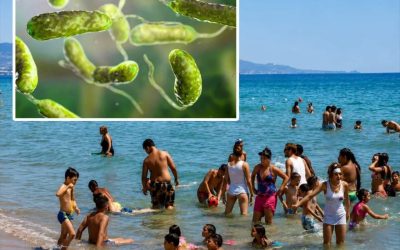 Allarme in mare per il batterio mangia-carne: i rischi per i bagnanti (1 / 2)