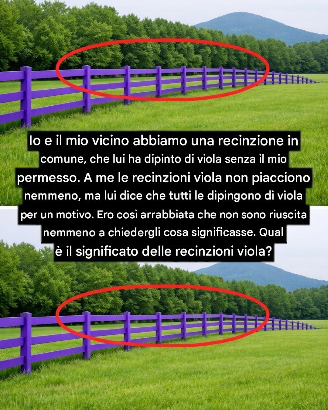 Beh, non ne avevo idea.