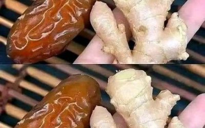 Pulizia del fegato e dell’intestino: come riappropriarsi della propria salute e prevenire che “la morte inizi nell’intestino”.