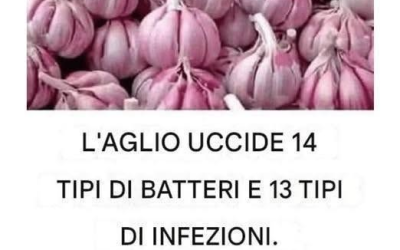 Aglio: un antibiotico naturale per combattere batteri e infezioni. Ricetta completa è nel primo commento