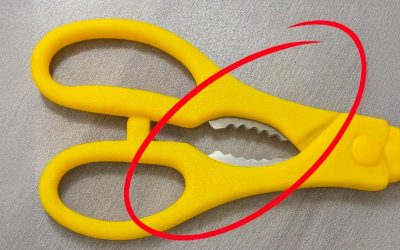 Quella cosa strana e seghettata nelle tue forbici da cucina? In realtà è uno strumento brillante e nascosto.