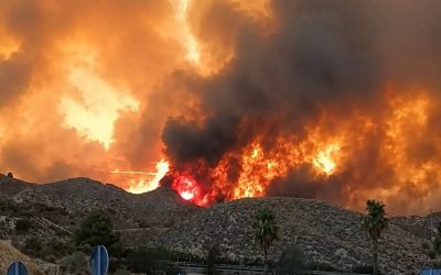 Enorme incendio, ci sono numerosi deceduti