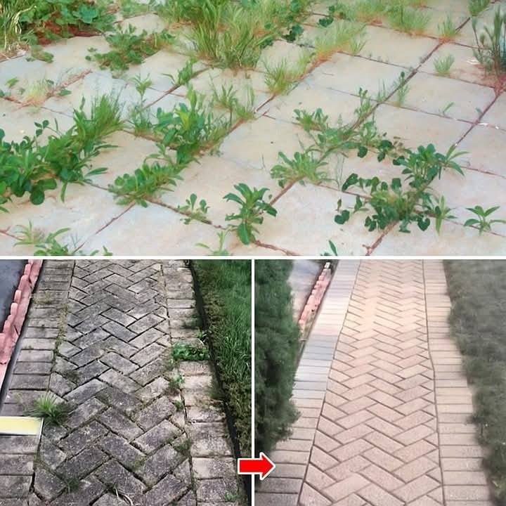 Come eliminare le erbacce per sempre e in modo naturale