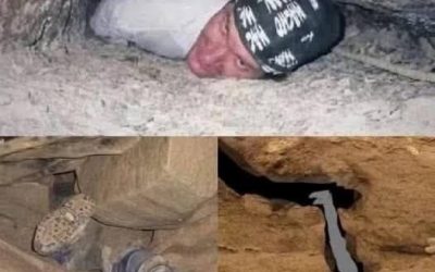 L’hanno trovato e hanno provato a provarlo, ma per… Vedi altro