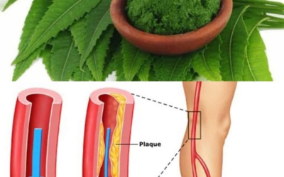 1 Foglia che aiuta a distruggere il DIABETE, la PRESSIONE SANGUIGNA, eliminare il DOLORE CORPOREO, il colesterolo ed eliminare la CATTIVA CIRCOLAZIONE.