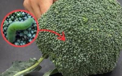 Come lavare correttamente i broccoli per una migliore igiene a casa?