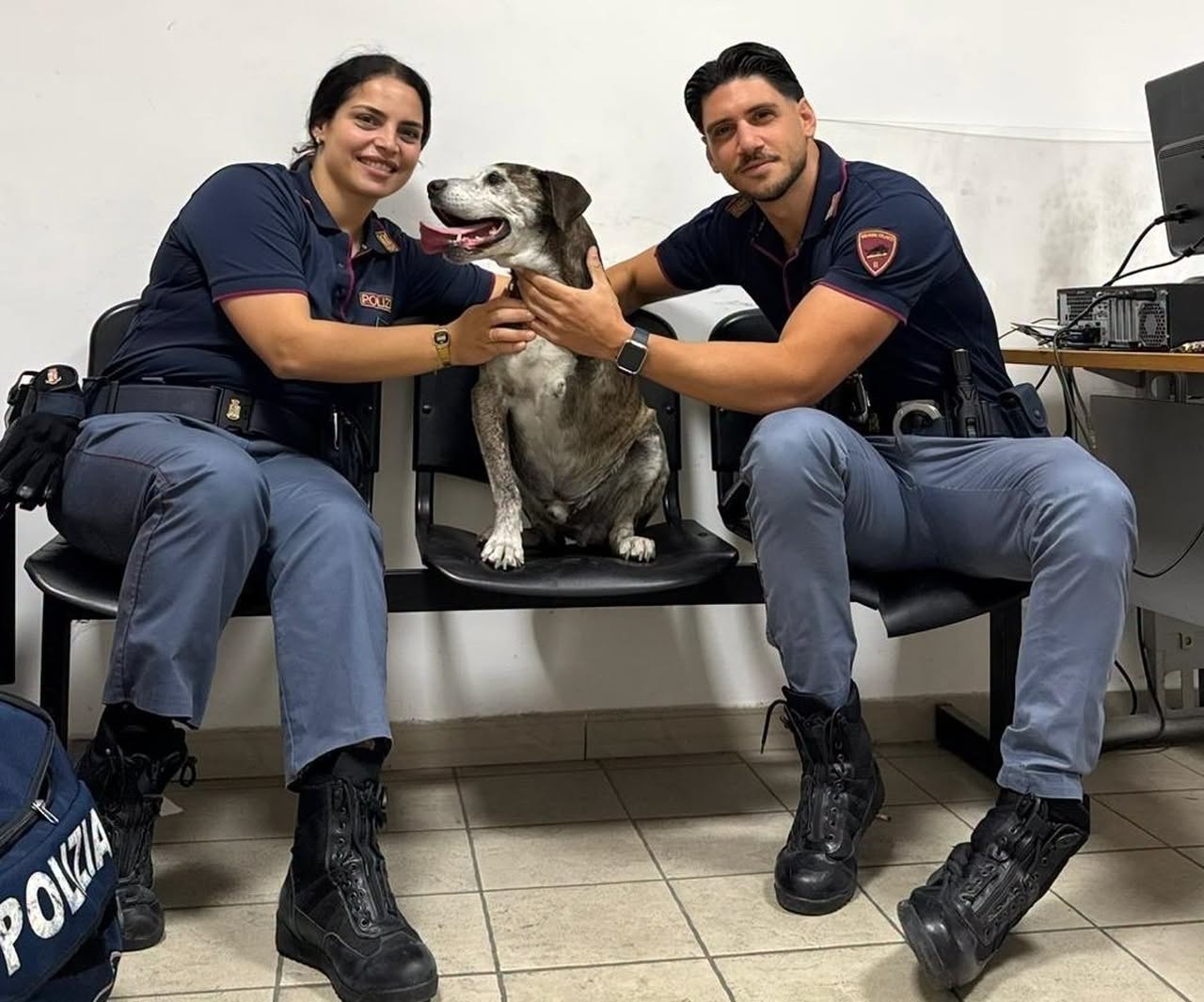 La storia di Job, il cane disabile salvato dalla polizia a Napoli: trovato zoppicante al centro della strada
