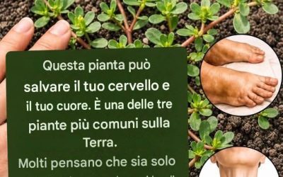 La pianta più potente del mondo…