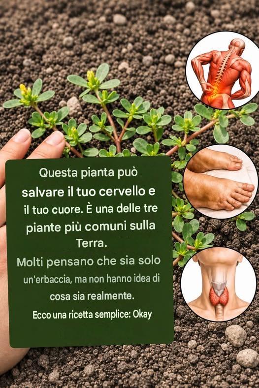 La pianta più potente del mondo…