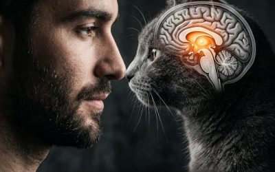 Dieci segreti straordinari che spiegano perché il tuo gatto dorme con te ogni notte