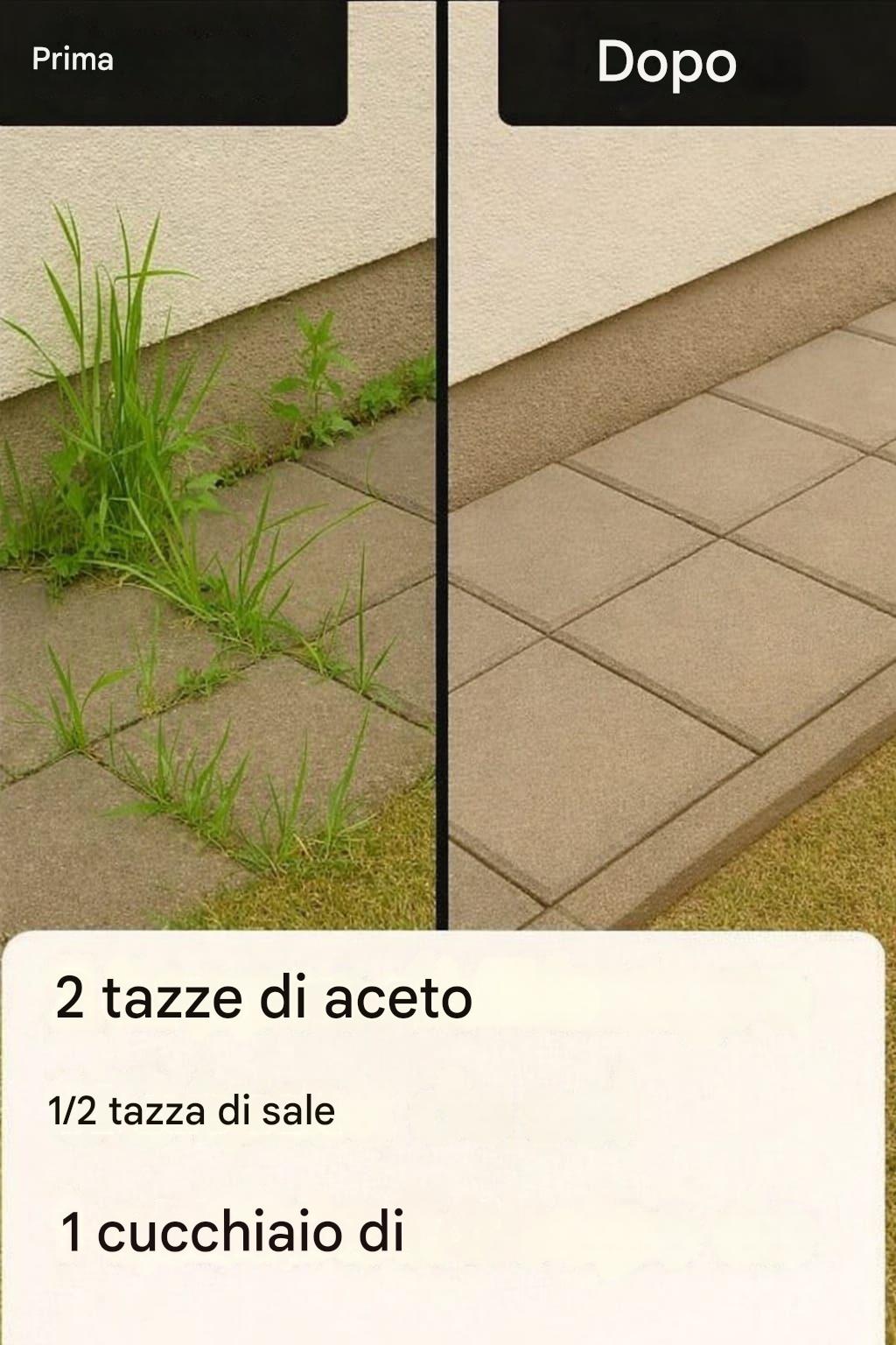 Come creare un erbicida fatto in casa super efficace