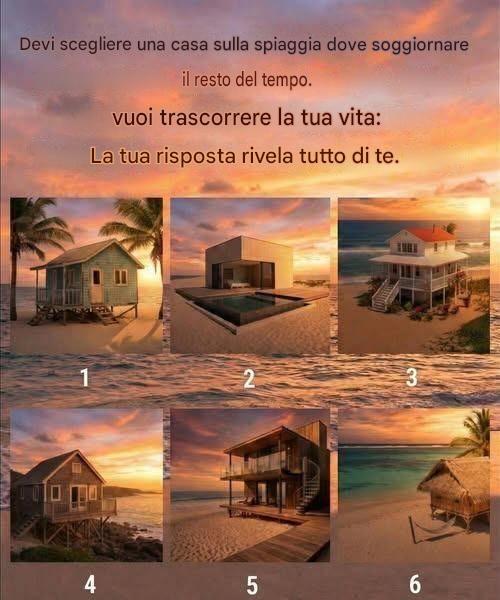 Non devi far altro che scegliere la casa sulla spiaggia in cui desideri vivere per il resto della tua vita.