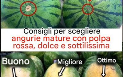 Consigli per scegliere un’anguria perfettamente matura con polpa rossa, dolce e sottilissima.