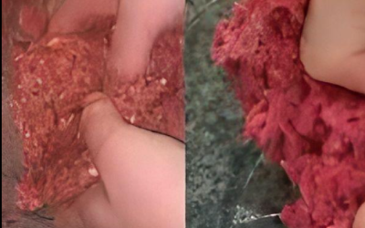 Non farti ingannare dai supermercati. Ti vendono carne da…