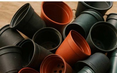 Smettila di buttare via i tuoi vecchi vasi di fiori di plastica. Ecco 10 ottimi consigli per riutilizzarli a casa.
