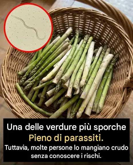 Ciboule et oignon nouveau : ce légume adoré que vous mangez peut-être sans le laver correctement