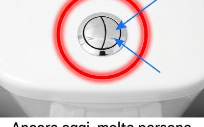 Ces deux petits boutons de vos toilettes cachent une astuce qui pourrait réduire votre facture d’eau