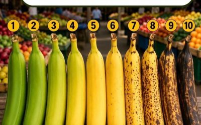 Sai quale di queste sette banane è la migliore per te e la tua salute?