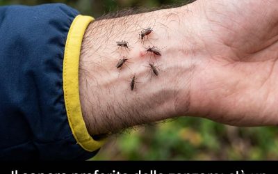 Vittima preferita delle zanzare? Scopri cosa li attrae a casa tua