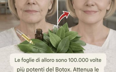 Foglia di alloro per le rughe: un agente naturale anti-età che nutre la pelle